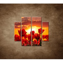 Obrazy na stenu - Západ slnka nad tulipánmi - 4dielny 100x90cm