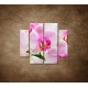 Obrazy na stenu - Ružová orchidea - 4dielny 100x90cm
