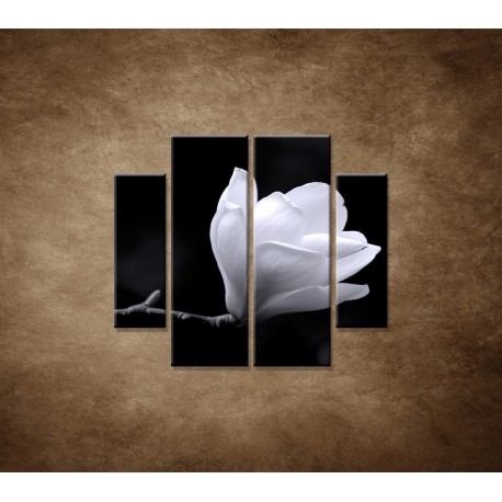 Obrazy na stenu - Kvet magnólie - 4dielny 100x90cm