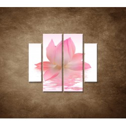 Obrazy na stenu - Lotosový kvet - 4dielny 100x90cm