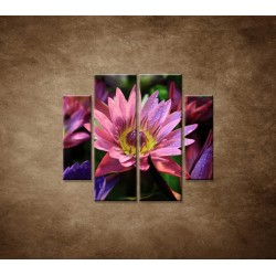 Obrazy na stenu - Lotosové kvety - 4dielny 100x90cm