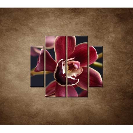Obrazy na stenu - Bordová orchidea - 4dielny 100x90cm