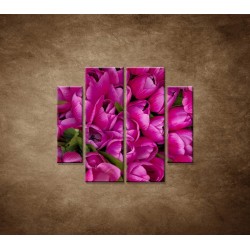 Obrazy na stenu - Krásne tulipány - 4dielny 100x90cm