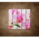 Obrazy na stenu - Ružová orchidea - 5dielny 100x100cm