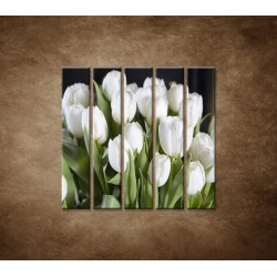 Obrazy na stenu - Biele tulipány - 5dielny 100x100cm
